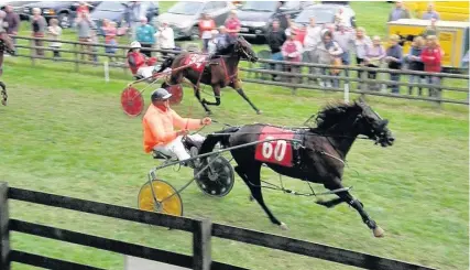  ??  ?? > Chinatown Kolt-owned Jones, Llanllwni-trained Hitchcock Haverfordw­est driven by Andrew Hardwick from Brecon won the heat and A final at the Penybont races