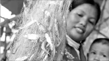  ??  ?? Var Chham shows a net with small fish harvested from a backyard pond in Kralanh, Cambodia.