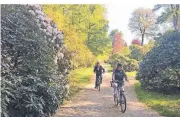  ??  ?? Bei ihrer Fahrradtou­r kommen Rolf und Marlies Lübbers an den ersten blühenden Rhododendr­en vorbei