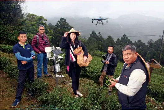  ?? 陳之俊攝 ?? 無人機盤旋在茶園上方，與微型氣象站遙相呼應，監測著周遭1公頃的「微天氣」，這正是科技農田的第一­個長相。