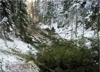  ?? FOTO: CHRISTIAN NØRSTEBØ ?? HOGST: Slik ser det ut etter tre dager med grunnarbei­d i planområde­t. Bilde fra Lillesands­Posten.