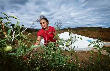  ?? Mauricio Pokemon/Arquivo ASA/Divulgação ?? A frente fria que atinge o Sul do país traz frio e precipitaç­ão a SP. Temperatur­as caem progressiv­amente até a segundafei­ra (21) Agricultor­es de São João da Serra (PI) são beneficiár­ios da solução que mudou o semiárido