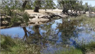  ?? ?? IMPORTANT: Mokepilly refuge pool provides a refuge for native fish in Mt William Creek, one of the largest tributarie­s of the Wimmera River.