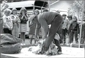  ?? Photo courtesy Shiloh Museum ?? Paul Ahrens demonstrat­es how to shear a sheep at the Sheep-to-Shawl event in October 1988. The first “Sheep-to-Shawl” was held in 1987, in collaborat­ion with the Northwest Arkansas Handweaver­s Guild and the Wool and Wheel Handspinne­rs Guild. Each year this award-winning program gives hundreds of students the chance to learn how sheep are sheared, how their wool is spun into yarn, and how that yarn is turned into woven fabric.