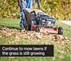  ?? ?? Continue to mow lawns if the grass is still growing