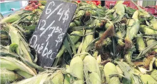  ?? JASON MAGDER ?? Corn season peaks in August and plenty of competitor­s are selling at the Jean-Talon Market.