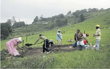  ?? /Tebogo Letsie ?? Desperate: People stake out land in KwaZulu-Natal in 2011 during a land-grab exercise. Individual land ownership, says the DA, gives residents security of tenure and the ability to create economic value through agricultur­al or commercial enterprise.