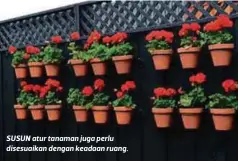  ??  ?? SUSUN atur tanaman juga perlu disesuaika­n dengan keadaan ruang.