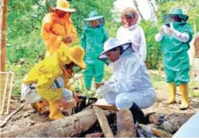  ??  ?? PRODUCCIÓN. Mujeres de Nankais realizando tareas de elaboració­n de miel de abeja