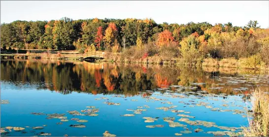  ?? ROCK CREEK DISABLED OUTDOORS ?? Fall foliage is reflected in the lake at Sunset Pines Resort near Willard, Wisconsin. The resort welcomes disabled hunters in early October and able-bodied hunters in late November.