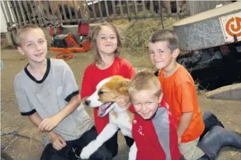  ??  ?? Vincent, 12 ans, Rose-Émilie, 8 ans, William, 5 ans, et Marc-Antoine, 3 ans, adorent la vie à la ferme.