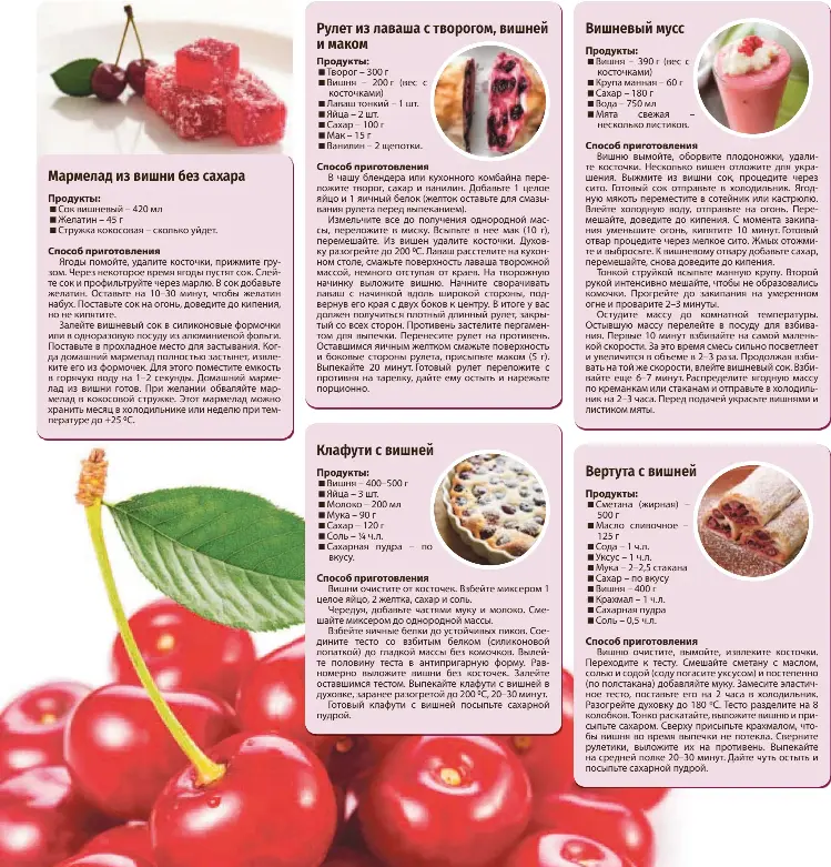 Какого цвета вишня. Доклад про вишню. Рассказ о вишне. Рассказ о вишне. Образование слова вишня.