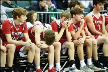  ?? TIM PHILLIS — FOR THE NEWS-HERALD ?? Mentor’s bench looks on during the Cardinals’ loss to Green on March 13 at the Wolstein Center.