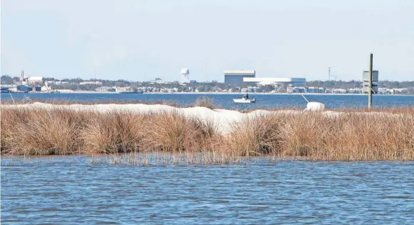  ?? PHOTOS BY GREGG PACHKOWSKI/USA TODAY NETWORK ?? Downtown Pensacola can be seen to the west of Deadman’s Island off Gulf Breeze on Feb. 24.