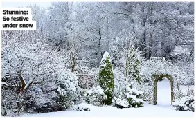  ?? ?? Stunning: So festive under snow