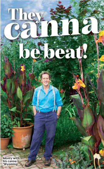  ??  ?? Monty with his canna ‘Wyoming’