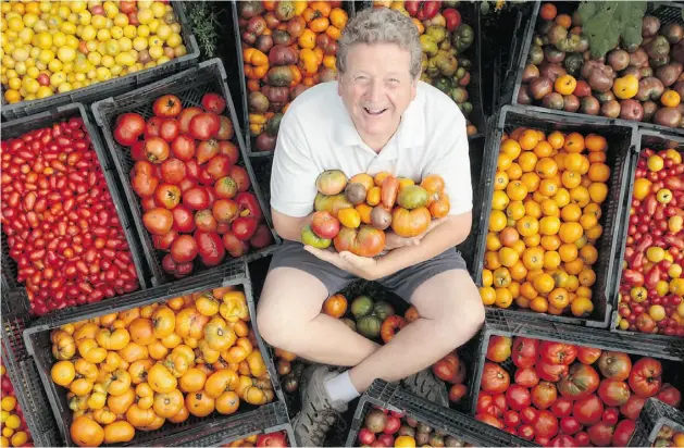  ?? JULIE OLIVER/ POSTMEDIA NEWS ?? Stuart Collins, co-owner of Bryson Farms near Shawville, Que., holds a big, fat bunch of his “heirloom” tomatoes with a variety of taste characteri­stics.
