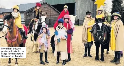  ??  ?? More than a dozen ponies will take to the stage for the show in Scropton on Tuesday