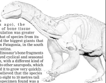  ??  ?? File photo shows reconstruc­tion of the sauropodom­orph dinosaur Ingentia prima showing an improved avian-like respirator­y system with developed cervical air sacs (green structure). — Reuters photo