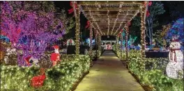  ?? CONTRIBUTE­D ?? The Winter Wonderland will feature more than 125,000 LED lights, live entertainm­ent and photo opportunit­ies with Santa and Mrs. Claus.