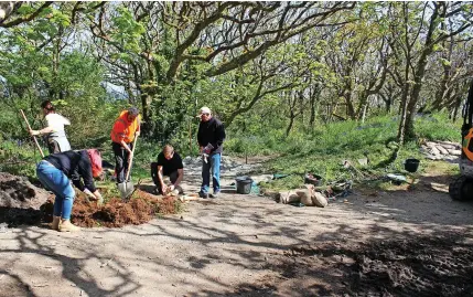  ?? ?? 6Conservat­ion volunteers undertake repairs to eroded areas of Tehidy Round as part of the Monumental Improvemen­t project