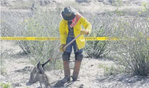  ?? FOTO: RICARDO NEVÁREZ ?? > En Sinaloa se han hallado fosas clandestin­as, la última fue en Ponce este miércoles.