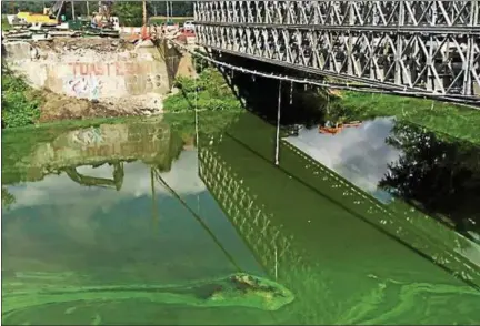  ?? JASON WEST — WALLKILL RIVER WATERSHED ALLIANCE ?? Algae is shown Friday in the Wallkill River near the Carmine Liberta Bridge constructi­on project on Route 299 in New Paltz.