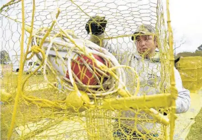  ?? KIM HAIRSTON/BALTIMORE SUN ?? Joel Hayden prepares his crab pots. The Dorchester County waterman says looser harvest rules would be a big financial help to him. “It’s a big difference,” he says. “It can be a matter of a couple hundred [dollars] at the end of the week, maybe even...