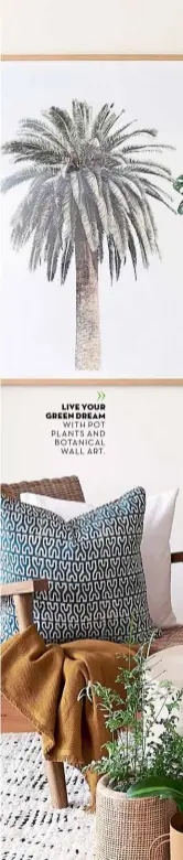  ??  ?? LIVE YOUR GREEN DREAM WITH POT PLANTS AND BOTANICAL WALL ART