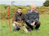  ?? CATHERINE GROENESTEI­N/ STUFF ?? Daniele Maspani and Neil Walker with a sample of the 600 trees planted this week as part of their trial growing rewarewa for honey and timber production.