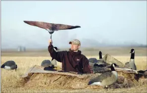  ?? COURTESY OF ERIC LARSGAARD/AVERY OUTDOORS ?? A goose flag is just one of many types of decoys hunters can use to draw wary Canada geese within shooting range.