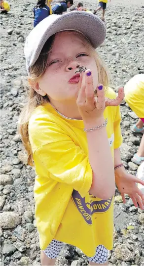  ??  ?? Finding crabs on the beach while at the Diving Locker summer camp.