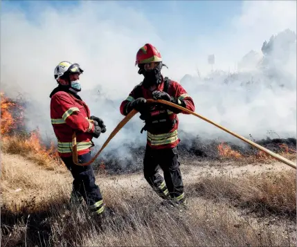  ??  ?? Registaram-se 5294 incêndios em Portugal nos primeiros sete meses de 2020, menos que em período homólogo de 2019