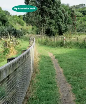  ??  ?? Above left: Rural walk along the stream.
Above right: Track along clifftop back to Back beach Carpark.
Below left: Inside the tunnel.
Below right: Sign in Manadon Street beginning of walk.