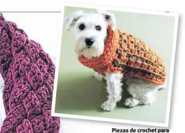  ??  ?? Piezas de crochet para mascotas permiten protegerla­s del helado clima de invierno.