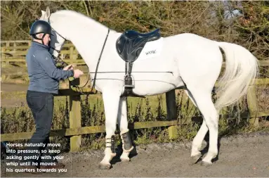  ??  ?? Horses naturally move into pressure, so keep asking gently with your whip until he moves his quarters towards you