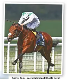  ??  ?? Above: Tom – pictured aboard Khalifa Sat at Goodwood – has enjoyed a winning year