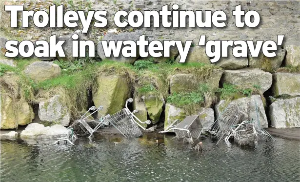  ?? Pictures: Gayle Marsh ?? Abandoned shopping trolleys are dumped in the River Tawe beneath the bridge connecting the Liberty Stadium and Morfa Retail Park.