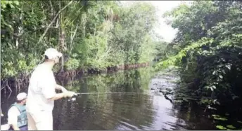  ?? ?? Fishing in the river (mahaicatou­rs)*