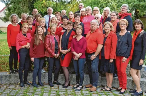  ?? Foto: Steffi Brand ?? Aktuell zählt der Johannesch­or Meitingen 36 aktive Mitglieder. Gemeinsam singen sie am 24. November beim Jubiläumsk­onzert.