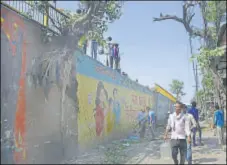  ?? SAKIB ALI/HT PHOTO ?? A peepal tree growing through the retaining wall of the Bhatia Morh flyover in Ghaziabad.