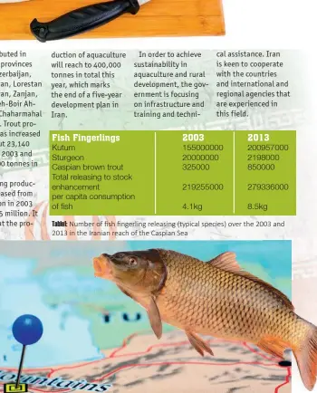  ??  ?? Table1: Number of fish fingerling releasing (typical species) over the 2003 and 2013 in the Iranian reach of the Caspian Sea