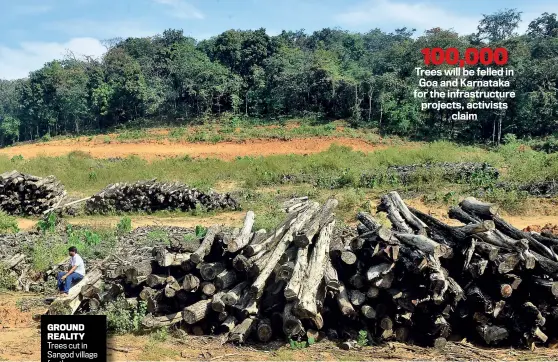  ??  ?? GROUND REALITY Trees cut in Sangod village for the power sub-station