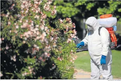  ?? ANTONIO PIZARRO ?? Un operario fumigando en un parque público de Coria del Río hace algunas semanas.