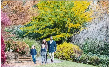  ?? Photos: Destinatio­n NSW ?? Blue Mountains Botanic Garden in Mount tomah. —