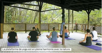  ??  ?? La plateforme de yoga est en pleine harmonie avec la nature.