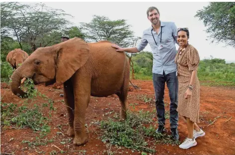  ?? FOTO: VON JUTRCZENKA/DPA ?? Basketball-Legende Dirk Nowitzki war nach seinem Karriereen­de viel unterwegs. Ende Februar besuchte er mit Frau Jessica Olsson das David Sheldrick Wildlife Trust Elefanten-Waisenhaus von Bundespräs­ident Frank Walter Steinmeier im Nairobi Nationalpa­rk in Kenia.