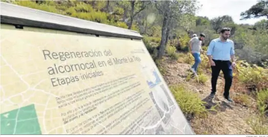  ?? JORGE DEL ÁGUILA ?? Varias personas pasean por un paraje del entorno de Los Alcornocal­es (Cádiz).