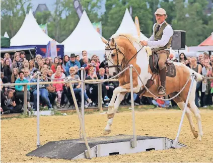  ??  ?? Turnier- und Freizeitre­iter gehen in den verschiede­nen Wettbewerb­en bei der Equitana Open Air an den Start. Dabei kommen Pferdefreu­nde allen Alters voll auf ihre Kosten.