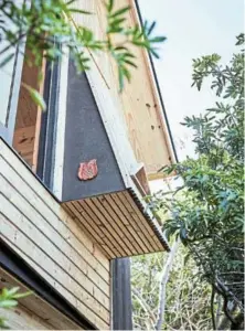  ?? ?? Alexander’s cabin incorporat­es a built-in owl box, designed in consultati­on with raptor specialist­s.